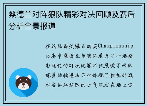 桑德兰对阵狼队精彩对决回顾及赛后分析全景报道